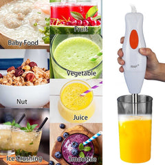 Hand Blender arabidukan KD